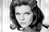 Samantha Eggar - Turner Classic Movies