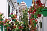 Estepona, Spain: 7 Amazing Things to See and Do | Millionaire Mob