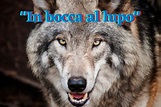 In bocca al lupo (In the mouth of the wolf) - Ryan Millar
