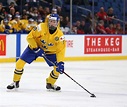 Rasmus Dahlin: 5 Fast Facts You Need to Know | Heavy.com