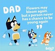 7+ Bluey Birthday Quotes For You