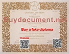 University of Siena diploma | PPT