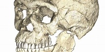 We're Older Than We Thought: New Find Pushes Human Origin Back 100,000 ...