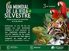 SECMA | 3 de marzo, Día Mundial de la Vida Silvestre