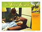 The Wasp Woman, 1959 - USA lobby card | B movie, Lobby cards, Science ...