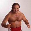 'Living Legend' Larry Zbyszko to Enter WWE Hall of Fame - Rolling Stone