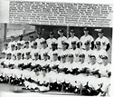 1961 New York Yankees Team UPI Press Photo - Steeno Sports Memorabilia ...