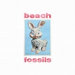 Beach Fossils: Bunny [Album Review] – The Fire Note