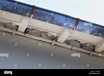 Schwalbennester unter dem Vordach eines Hauses Stockfoto, Bild ...