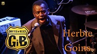 Herbie Goins & Grotta in Blues - YouTube