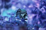 Photo taken by suizidekid - http://www.lomography.com/photos/films ...