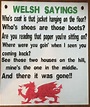 Funny Welsh Sayings Wooden Hand Painted Plaque - Etsy UK | Welsh ...