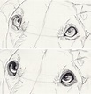 How To Draw A Realistic Dog Eye Step By Step / Draw the eye and start ...