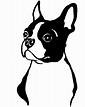 Boston terrier art illustrations, Boston terrier art, Boston terrier tattoo