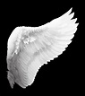 Angel wings tattoo, White angel wings, Wings art