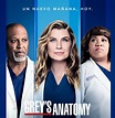 “Grey’s Anatomy”: cuándo y a qué plataforma llega la última temporada ...