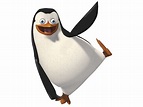 Imagen - Penguin-1--1-.jpg | Pingüinos de Madagascar Wiki | FANDOM ...