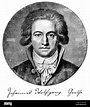 Portrait of Johann Wolfgang von Goethe, 1749 - 1832, a German poet ...