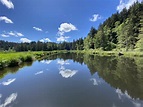 Explore Beaver Creek State Natural Area In Oregon On A Kayak Trail