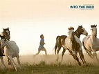 Into the Wild - Upcoming Movies Wallpaper (216155) - Fanpop