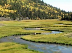 Fishlake National Forest | Utah road trip, Lake fishing, Camping in ...