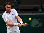 Andy Murray enters European Open as road to singles comeback takes ...