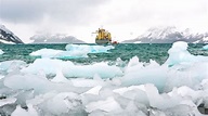 Antarktis-Forscher: „Riesiges Lebewesen“ unter dem Eis | Kölner Stadt ...