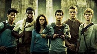 Maze Runner: tutti i film della saga, la trama, il cast e le curiosità da sapere