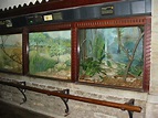 Toledo Zoo 2003 - Snake exhibits in the famous Reptile House - ZooChat