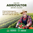 O dia 28 de julho celebra, oficialmente, o Dia do Agricultor ...