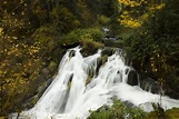 Beaver Creek Falls, Oregon | Oregon waterfalls, Beaver creek, Oregon