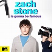Zach Stone is Gonna Be Famous - Microsoft Store