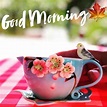 30+ Good Morning Photos, Download Good Morning Photos - Instaloverz