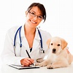 Rol de Médico Veterinario Zootecnista en la Salud Pública. -? Metodo Eisi