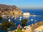 Catalina Island, The Perfect Getaway in Southern California Traveling ...