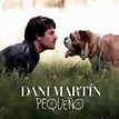 Dani Martín – Pequeño (2017, Gatefold, Vinyl) - Discogs