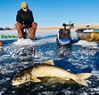 3 Utah waters with both scenery and great fishing during winter months ...