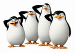 Top 40+ imagen pinguinos de madagascar dibujos - Viaterra.mx