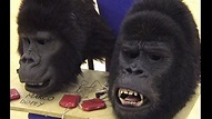 George of the Jungle 2 Gorillas - YouTube
