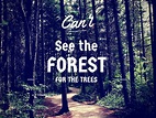A negotiation lesson - See The Forest For The Trees