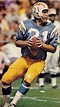 Not in Hall of Fame - 11. John Hadl