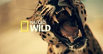 Nat Geo Wild: canal gratis en marzo para Euskaltel, R, Telecable y Virgin
