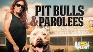 Watch Pit Bulls and Parolees Season 2 Episode 8 - Breaking Point Online Now