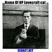 What is the name of HP Lovecraft cat? [SHOCKING] | Seo Act
