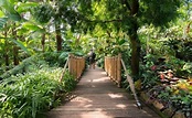 Bloedel Floral Conservatory | National Parks / Natural World | British ...