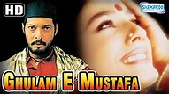 Ghulam-E-Mustafa {HD+ Eng Subs} - Hindi Full Movie - Nana Patekar ...