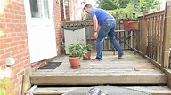 Steve's Garden Saturday - YouTube