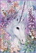 Unicorn And Rainbow Wallpaper ~ Unicorn Rainbow Clouds Silk 3d ...