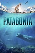 Patagonia: Life at the Edge of the World (serie 2022) - Tráiler ...