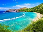 All of Oahu in One Day Tour - Hawaii Discount